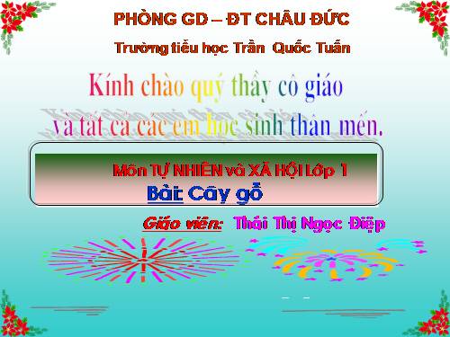 Bài 24. Cây gỗ