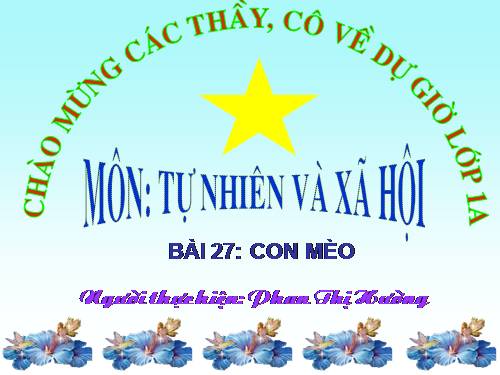 Bài 27. Con mèo