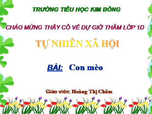 Bài 27. Con mèo