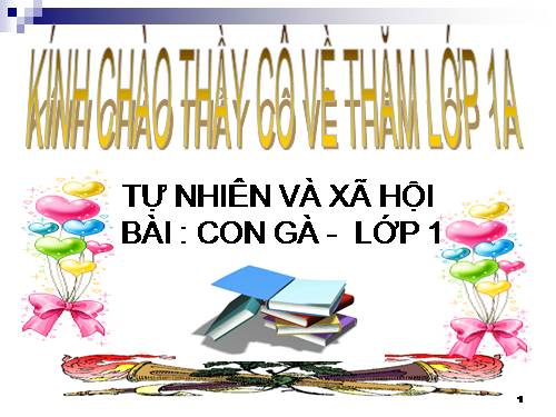 Bài 26. Con gà