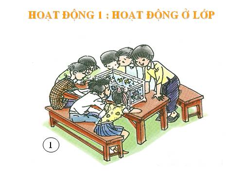 Bài 16. Hoạt động ở lớp