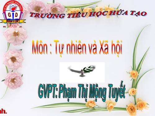 Bài 20. An toàn trên đường đi học