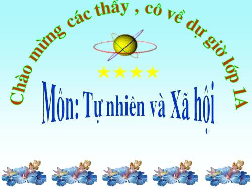 Bài 9. Hoạt động và nghỉ ngơi