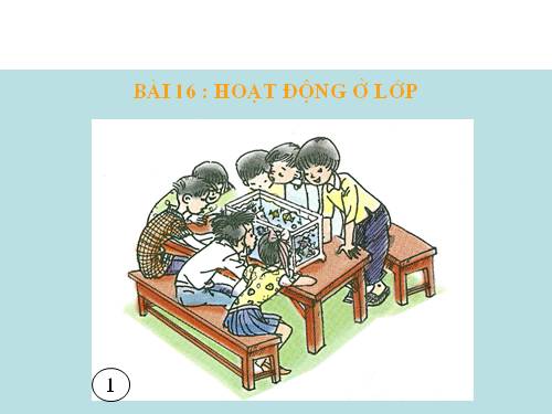 Bài 16. Hoạt động ở lớp