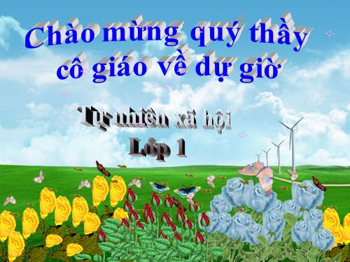 Bài 17. Giữ gìn lớp học sạch, đẹp