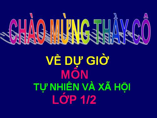 Bài 11. Gia đình