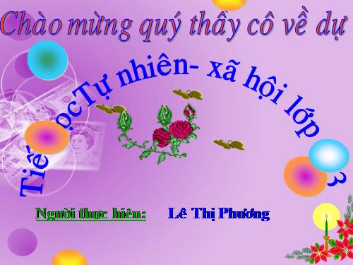 Bài 16. Hoạt động ở lớp