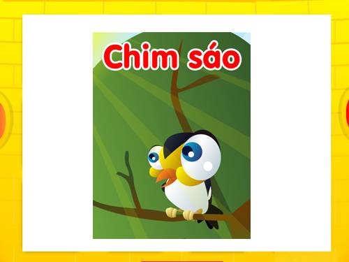 Chim sao