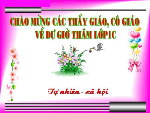 Bài 8. Ăn, uống hàng ngày