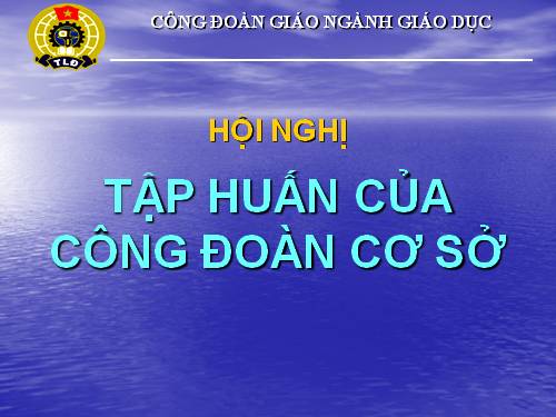 Điều lệ công đoàn khóa X