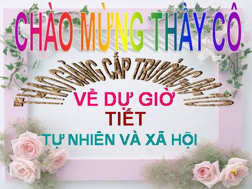 Bài 11. Gia đình