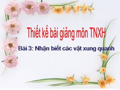 Bài 3. Nhận biết các vật xung quanh