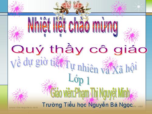 Bài 31. Thực hành: Quan sát bầu trời.