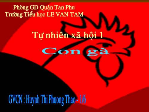 Bài 26. Con gà