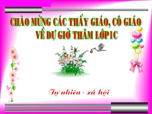 Bài 8. Ăn, uống hàng ngày