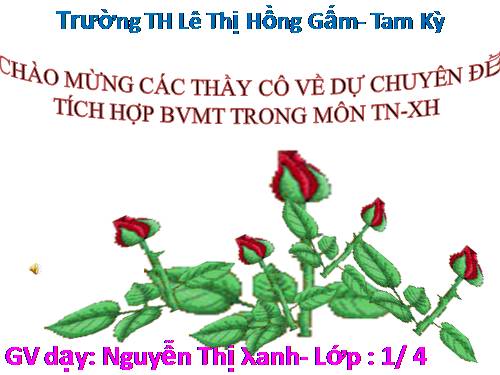 Bài 29. Nhận biết cây cối và con vật