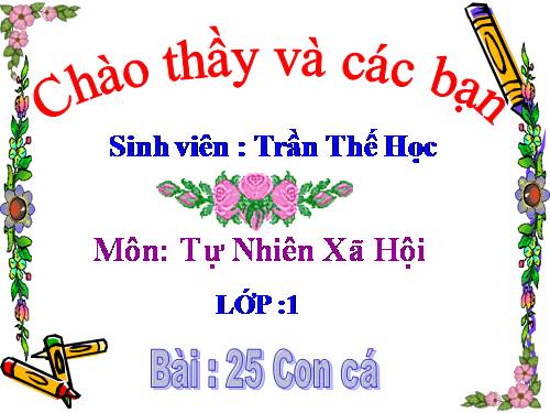 Bài 25. Con cá