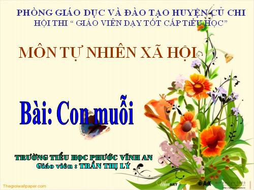 Bài 28. Con muỗi