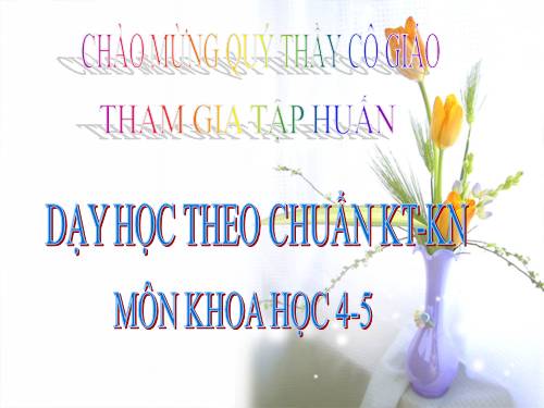 DẠY HỌC THEO CHUẨN KT-KN MÔN KHOA HỌC 4-5