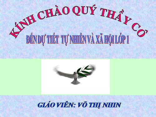 Bài 12. Nhà ở