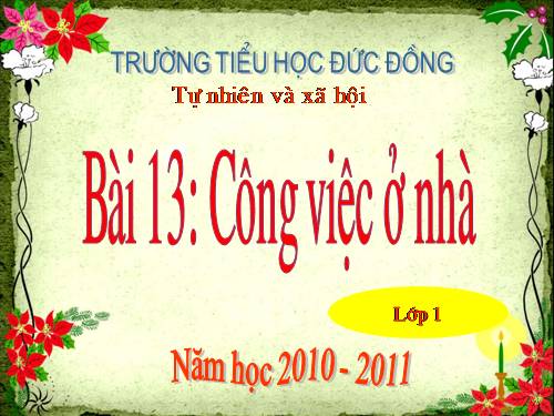 Bài 13. Công việc ở nhà.