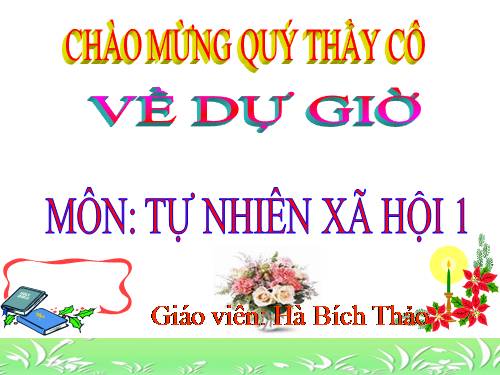 Bài 16. Hoạt động ở lớp