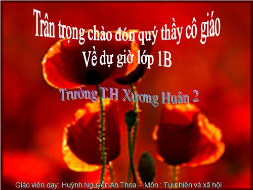 Bài 9. Hoạt động và nghỉ ngơi