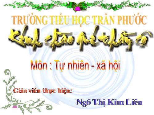 Bài 20. An toàn trên đường đi học