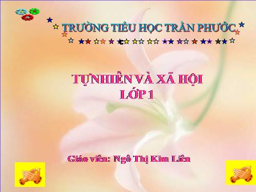 Bài 16. Hoạt động ở lớp