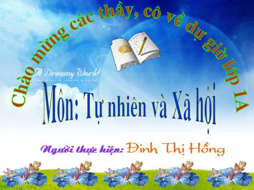 Bài 9. Hoạt động và nghỉ ngơi