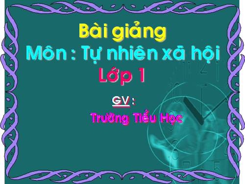 Bài 12. Nhà ở