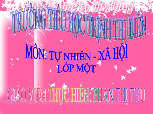 Bài 16. Hoạt động ở lớp