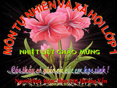 Bài 19. Cuộc sống xung quanh (tiếp theo)