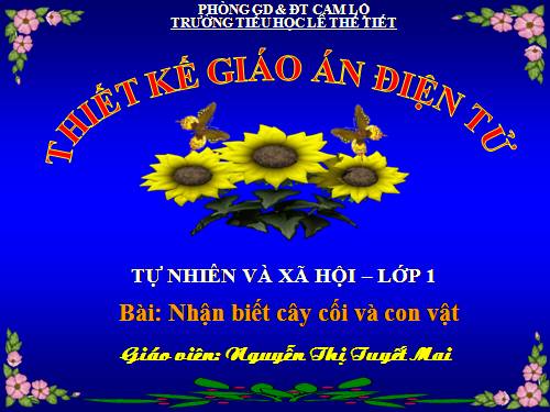 Bài 29. Nhận biết cây cối và con vật