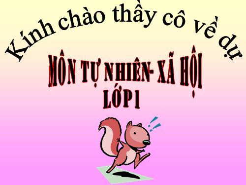 Bài 16. Hoạt động ở lớp