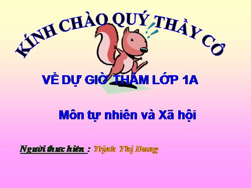 Bài 16. Hoạt động ở lớp