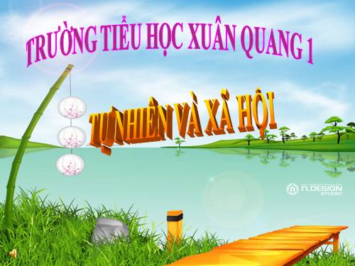 Bài 17. Giữ gìn lớp học sạch, đẹp