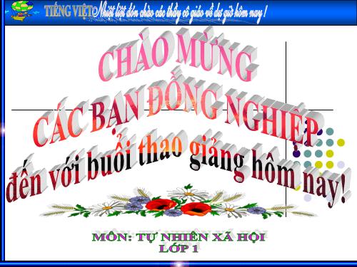 Bài 13. Công việc ở nhà.