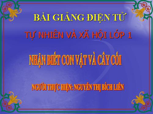 Bài 29. Nhận biết cây cối và con vật