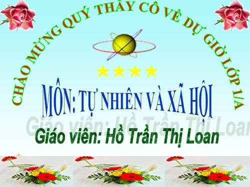 Bài 9. Hoạt động và nghỉ ngơi