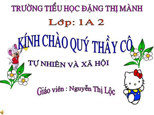 Bài 14. An toàn khi ở nhà