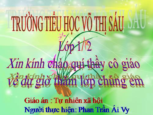 Bài 13. Công việc ở nhà.