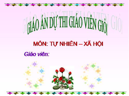 Bài 13. Công việc ở nhà.