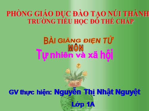 Bài 29. Nhận biết cây cối và con vật