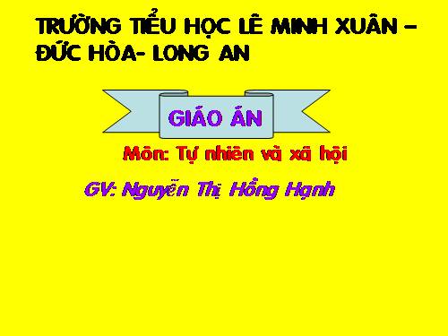 Bài 13. Công việc ở nhà.