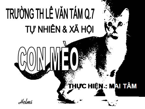 Bài 27. Con mèo