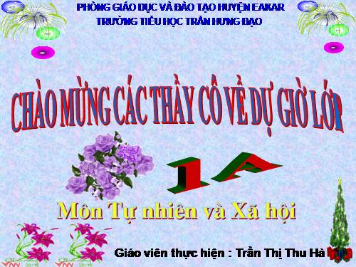 Bài 11. Gia đình