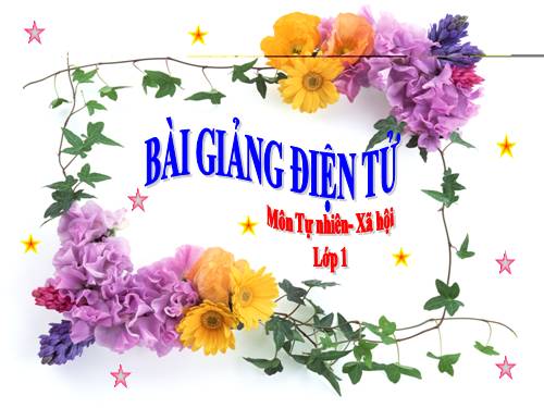 Bài 11. Gia đình