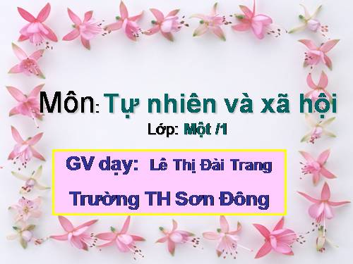 Bài 28. Con muỗi