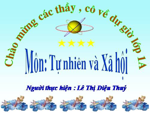 Bài 9. Hoạt động và nghỉ ngơi